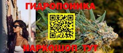 гашик Шелехов