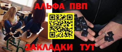 гашик Шелехов