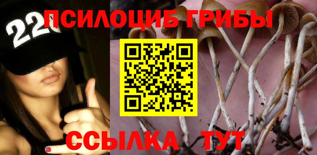 Галлюциногенные грибы прущие грибы Алексин