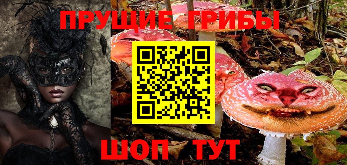 Алексин  Псилоцибиновые грибы MAGIC MUSHROOMS  Галлюциногенные грибы прущие грибы  Вход с VPN 